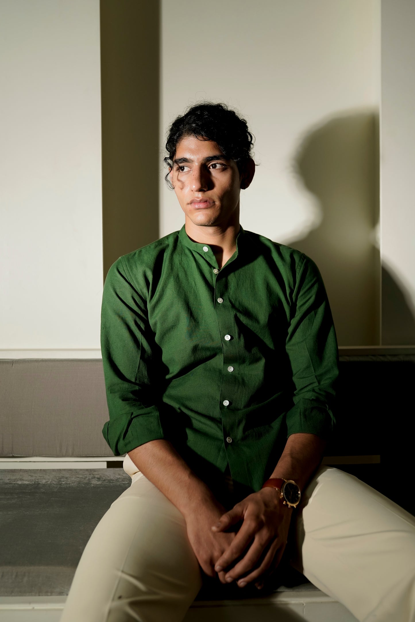 Green Cotton Regular fit Shirt