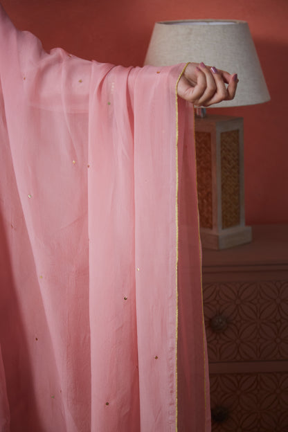 Blush Noor Embroidered Suit Set (Set Of Three)